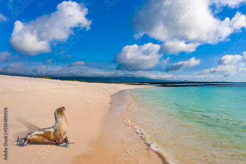 Ecuador. The Galapagos Isla...