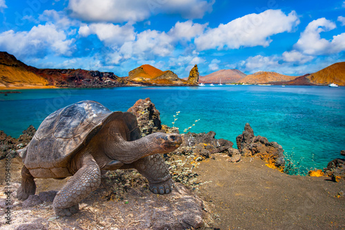Galapagos Islands. Galapago...