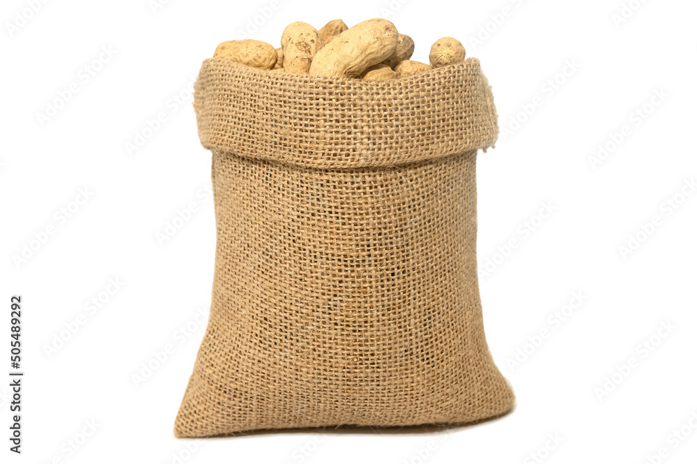 A bag of dry peanuts in burlap on a white background. Delicious nut. A bag of dry peanuts in burlap on a white background. Delicious nut.