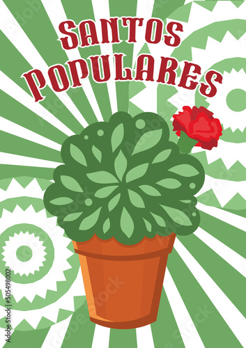 Santos Populares. Basil in a pot Manjerico plants