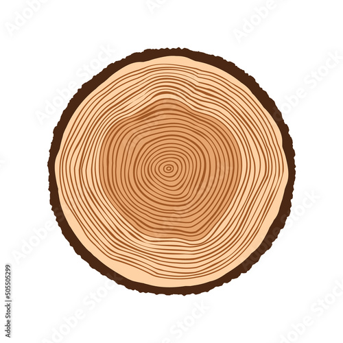Round tree trunk cut, sawn pine or oak slice. Saw cut timber, wood. Brown wooden texture with tree rings. Hand drawn sketch. Vector illustration