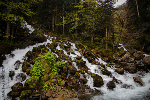 Una arroyo baja por el bosque formando una cascada en el Pirineo photo