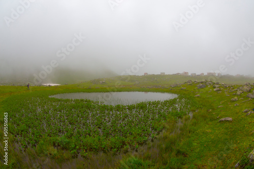 Wonderful view, persembe plateau of turkey photo