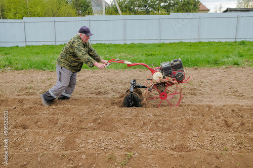 A male farmer cultivates the soil in the garden using a self-propelled walk-behind tractor. Spring work on the plantation before planting potatoes.