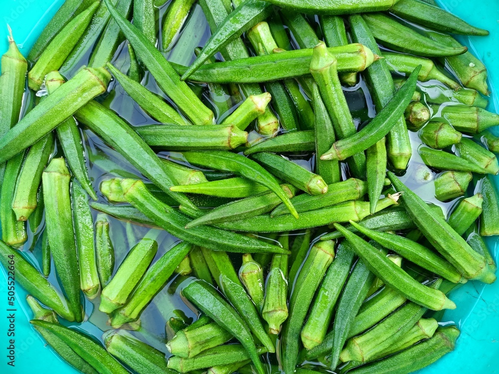 farm, fruit, group, ladyfinger, okro, kitchen, market, health, vegetarian, diet, seed, ladies' fingers, agricultural, basket, natural, freshness, finger, lady, vegetables, marketing, green vegetables, farm, fruit, group, ladyfinger, okro, kitchen, market, health, vegetarian, diet, seed, ladies' fingers, agricultural, basket, natural, freshness, finger, lady, vegetables, marketing, green vegetables,