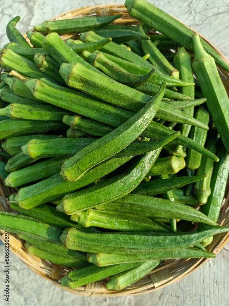 Okra or ladies fingers or bhindi or lady finger in basket Okra or ladies fingers or bhindi or lady finger in basket