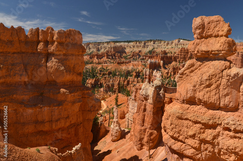 sandstone hoodoos and rock formations on Queens Garden Trail (Bryce Canyon National Park, Utah, United States)