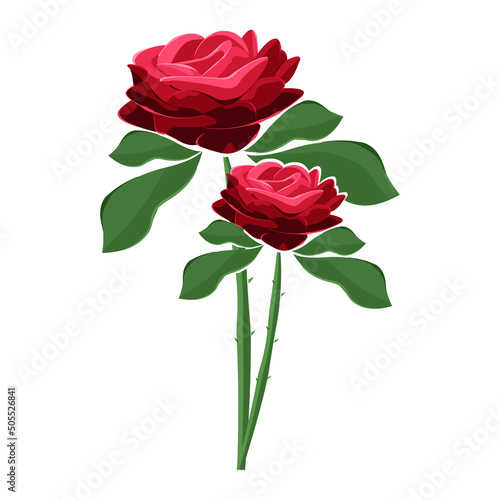 Vector illustration of a rose isolated on white background. Bouquet of roses.