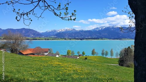 Der Forggensee im Königswinkel im bayerischen Allgäu photo