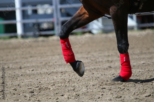 Horse hooves in a dirt arena