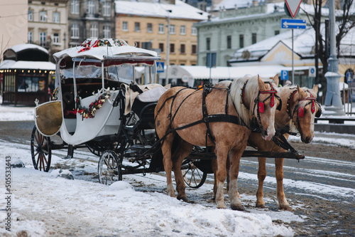 Two beige beautiful horses with light manes with red blinders stand at the crossroads of streets during a snowfall with a walking cart for tourists. Lviv, Ukraine.