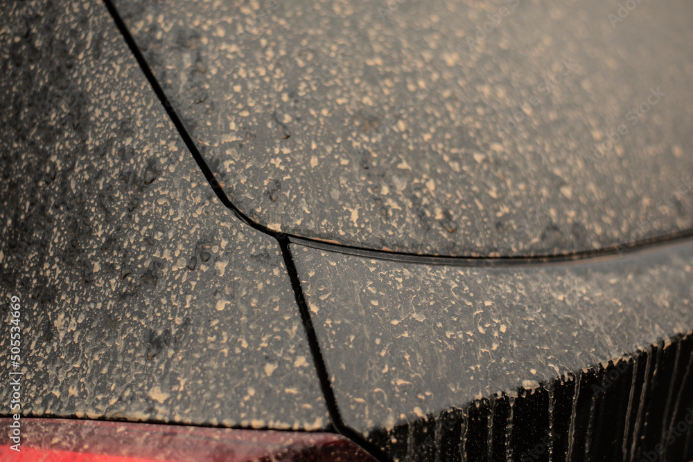 the black varnish of a car with sahara dust