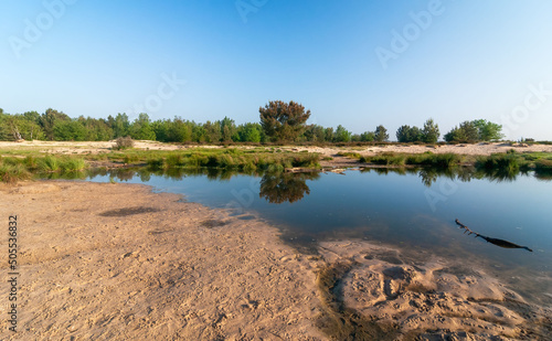 Beautiful view of Loonse en Drunense Duinen, the Netherlands. photo