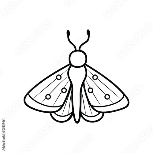 butterfly in doodle style, contour illustration of an insect , vector lineart of a moth
