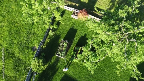video of aerial drone top down view on stylish garden; gardener using water hose and watering the lawn, grass and plants; vegetable bed surrounded by green fresh lawn and trees