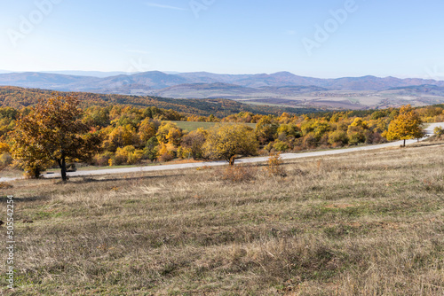 Autumn landscape of Cherna Gora mountain, Bulgaria photo