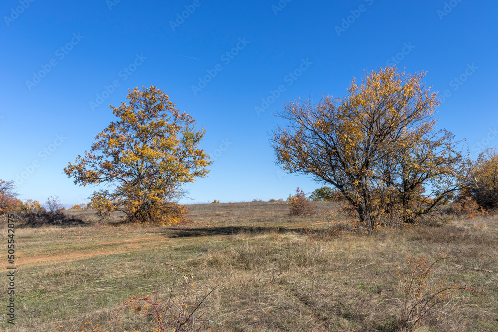 Fototapeta premium Autumn landscape of Cherna Gora mountain, Bulgaria