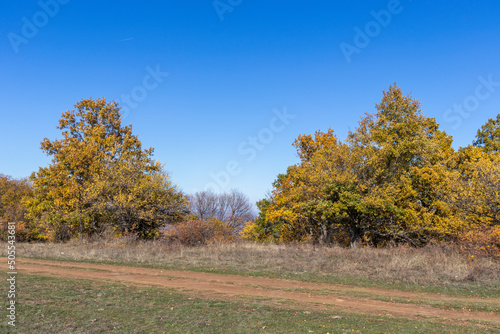 Autumn landscape of Cherna Gora mountain, Bulgaria photo