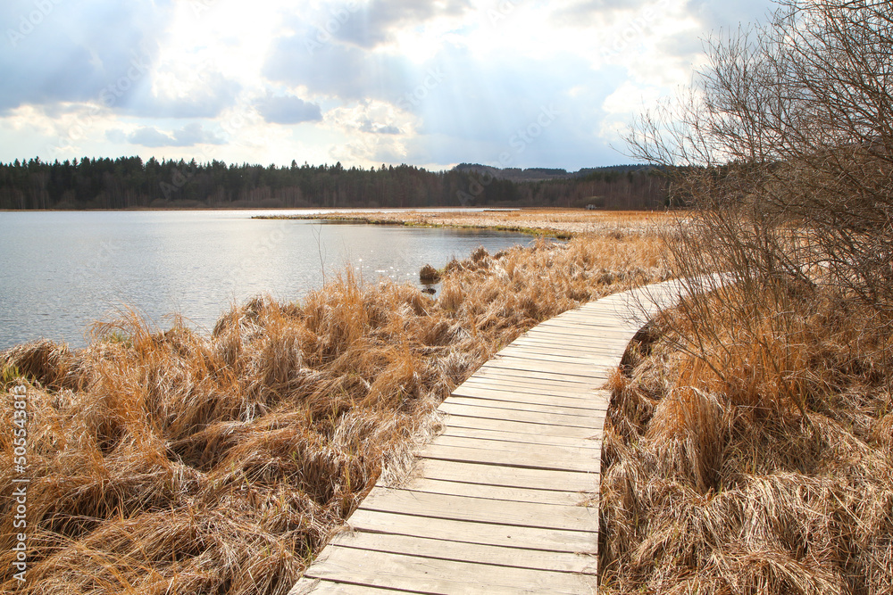 Φωτογραφία The protected area in Šumava national park in Czech Republic by the pond Olšina with its wooden pathways