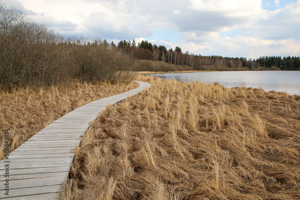 Φωτογραφία The protected area in Šumava national park in Czech Republic by the pond Olšina with its wooden pathways