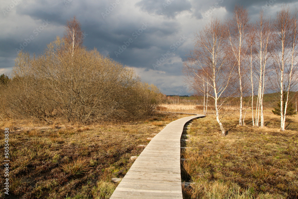 Φωτογραφία The protected area in Šumava national park in Czech Republic by the pond Olšina with its wooden pathways