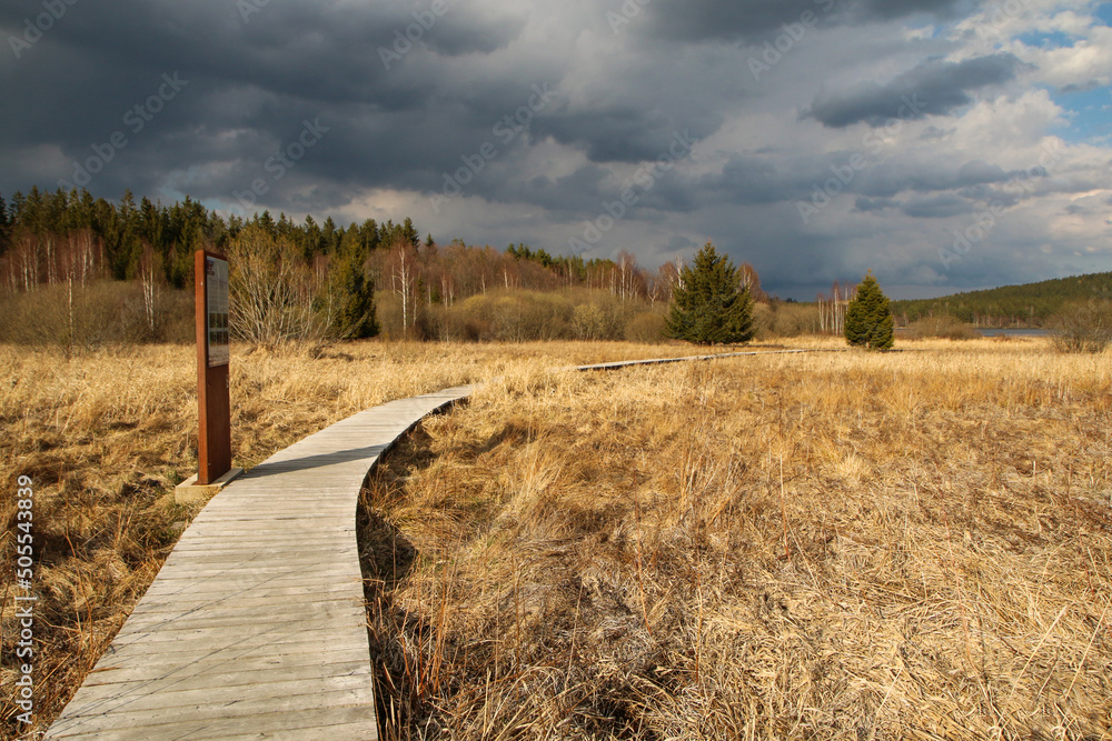 Φωτογραφία The protected area in Šumava national park in Czech Republic by the pond Olšina with its wooden pathways