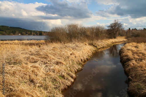 The protected area in   umava national park in Czech Republic by the pond Ol  ina with its wooden pathways.