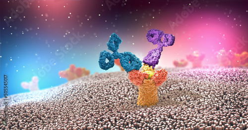 Multicolored antibodies or immunoglobulin protein structures attached to receptor- 3d illustration photo