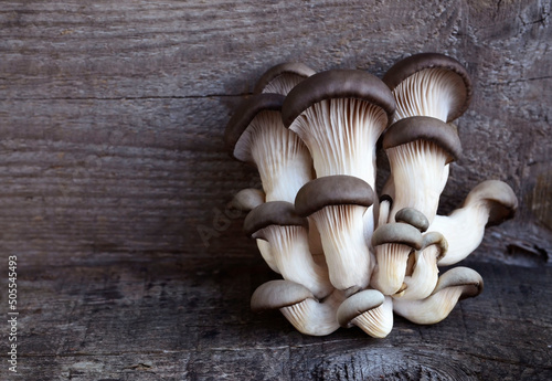 Fotografering Oyster mushroom or Pleurotus ostreatus on old wooden background