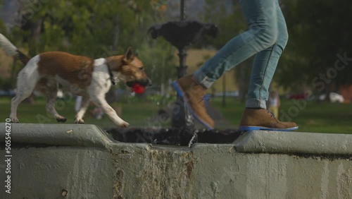 Closeup of a man and a dog walking on a fountain in De Waal Park, Cape Town, South Africa