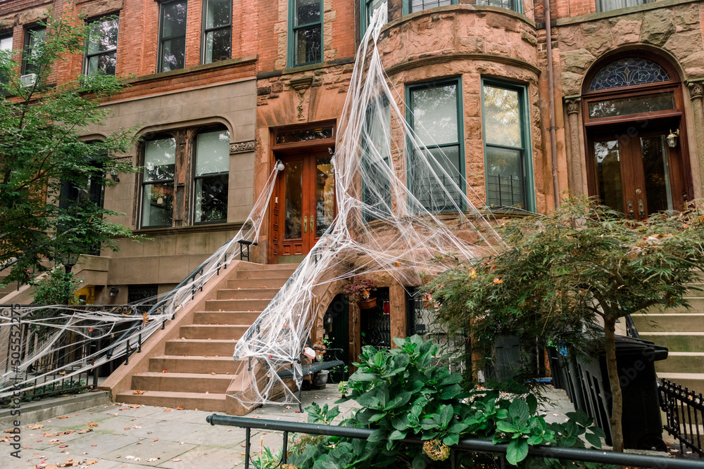 Brooklyn typical facades & row houses in an iconic neighborhood of