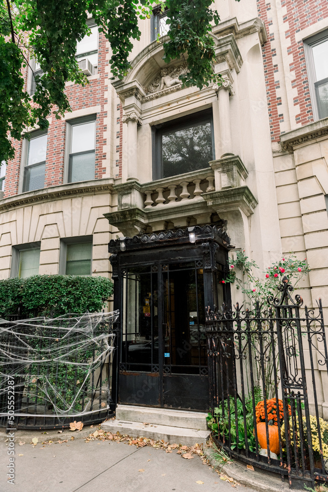 Brooklyn typical facades & row houses in an iconic neighborhood of