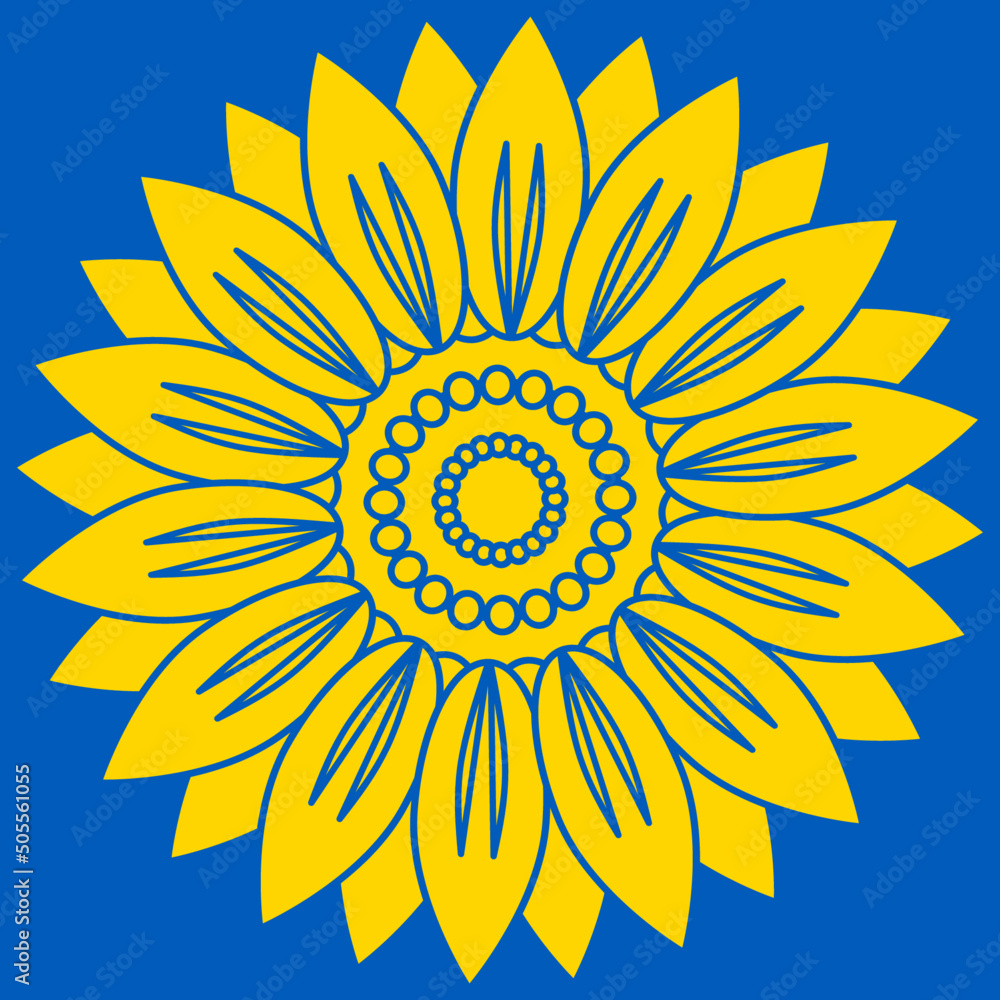 Yellow sunflower on a blue background Yellow sunflower on a blue background