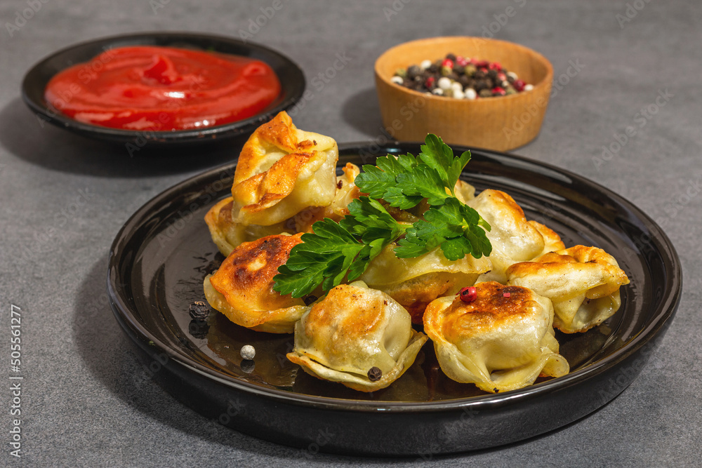 Deep-fried dumplings with tomato sauce and pepper mix. Vegan food, modern hard light, dark shadow Deep-fried dumplings with tomato sauce and pepper mix. Vegan food, modern hard light, dark shadow