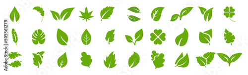 Leaves icon set. Set of green leaf for eco and bio logos.