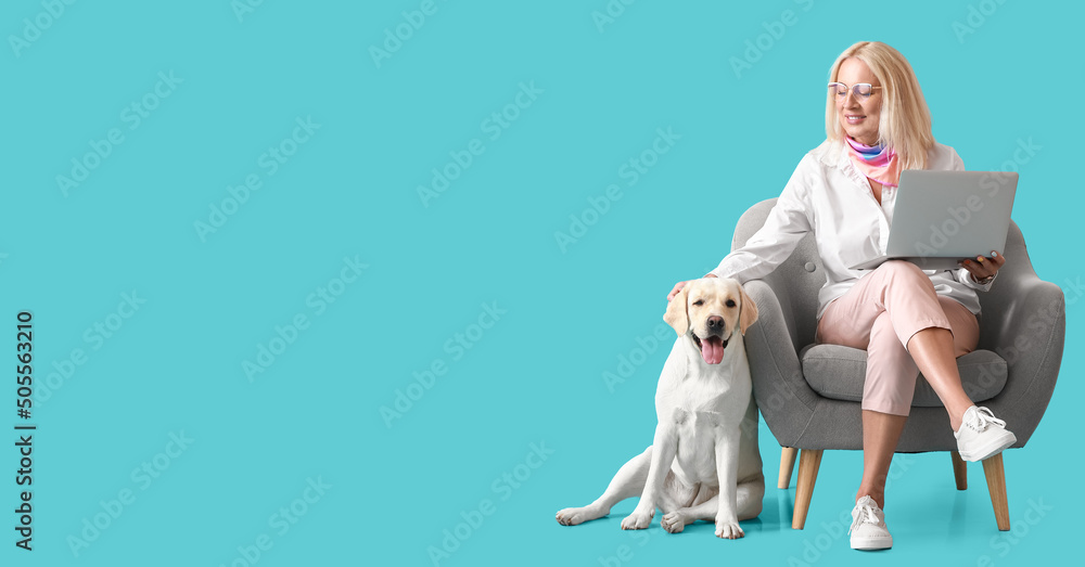 Φωτογραφία Mature woman with laptop and cute Labrador dog sitting in armchair on blue backg