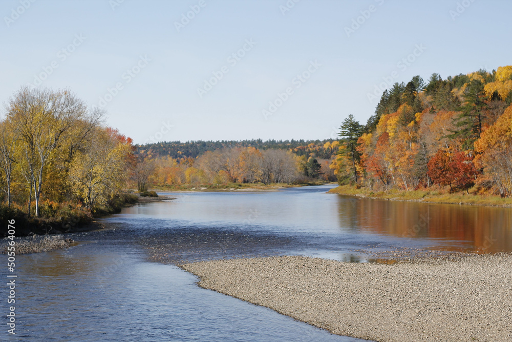 Φωτογραφία The autumnal trees in the forest on the Miramichi River bank on a sunny day, New