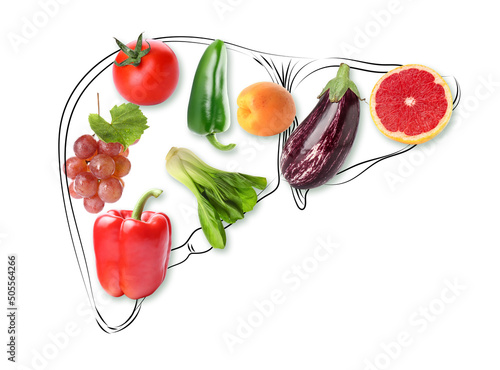 Drawing of liver with healthy fresh vegetables and fruits on white background