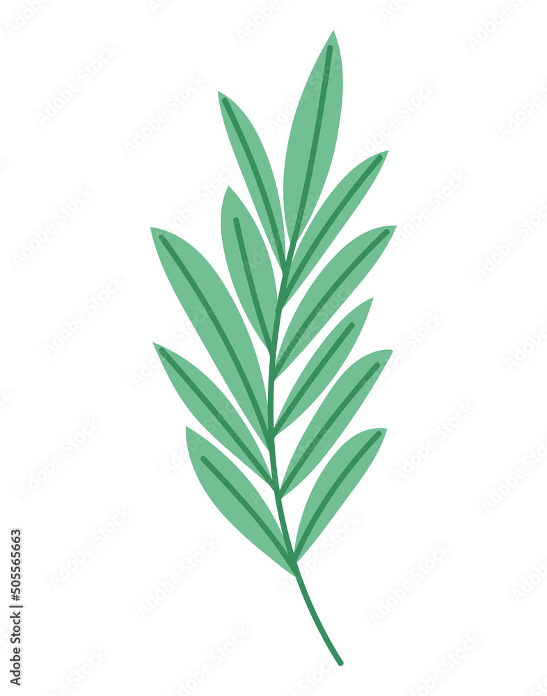 Obraz premium green leaves on a stem