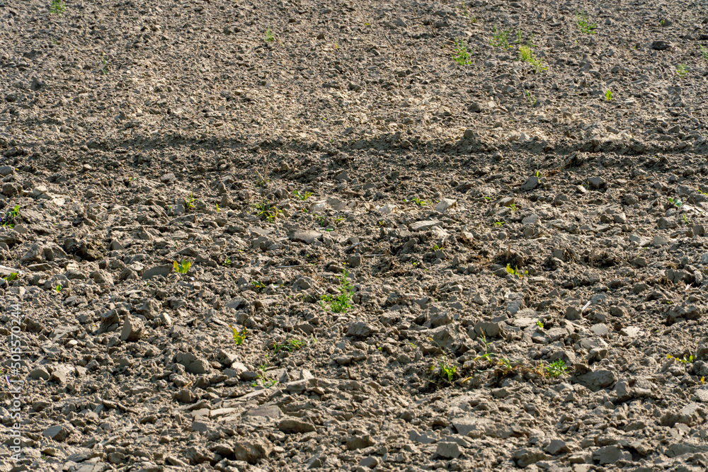 the background is a plowed agricultural field. a plowed field used for sowing agricultural crops. the background is a plowed agricultural field. a plowed field used for sowing agricultural crops.