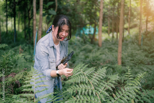 Fotografie Asian woman agriculture female farmer landowner using smart tablet device technology checking forest nature data analysis on plant growth, examining cultivating environment and nature preservation
