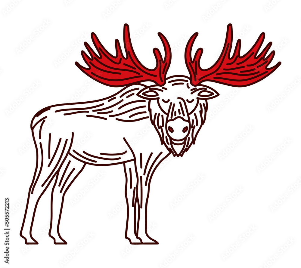 moose with red horns moose with red horns