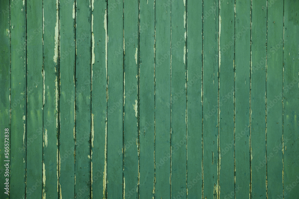 Fototapeta premium Texture of old green wall as background