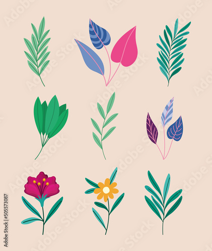 nine plants designs