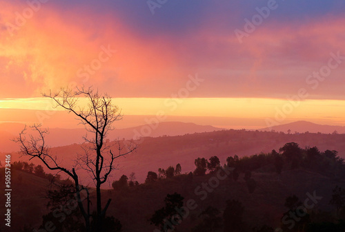 One tree on hill mountain and beautiful and Sunset orange sky  background