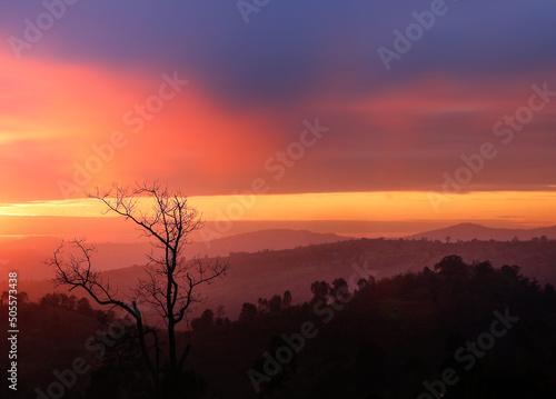One tree on hill mountain and beautiful and sun orange sky backgroundOne tree on hill mountain and beautiful and Sunset orange sky background