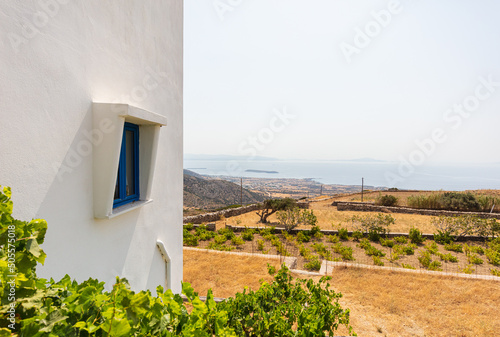 Paros, Greece - August 3, 2021: View over the island in the cyclades Archipelago in the Aegean Sea. A typical White House with blue windows. Olive grove or plantation and the sea in the background