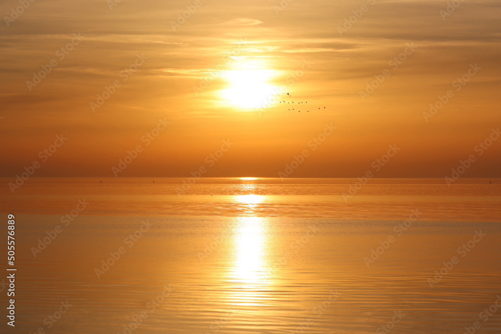 Sunset over calm sea, flying birds, bright sun light, orange color, Harlingen, Netherlands