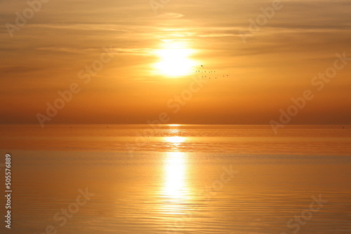Sunset over calm sea  flying birds  bright sun light  orange color  Harlingen  Netherlands