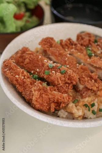 Pork Tonkatsu Cutlet or Crispy Fried Chicken with Japanese Rice. Juicy chicken decorated in simple concept.